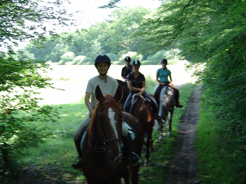 Event_TREC_200608_1.jpg