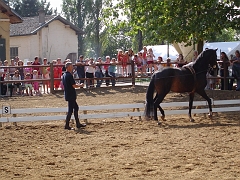 Event_Divers_200608_1