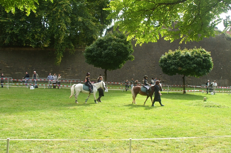 DSCF0521.JPG