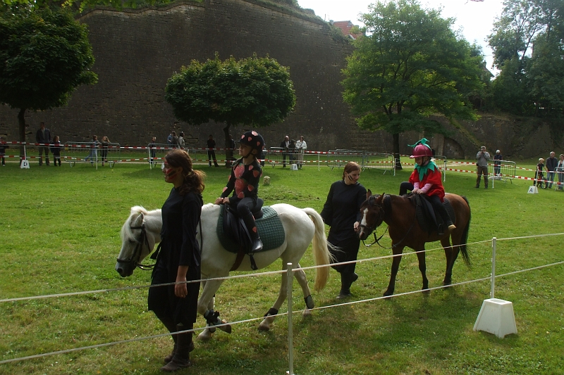 DSCF0529.JPG