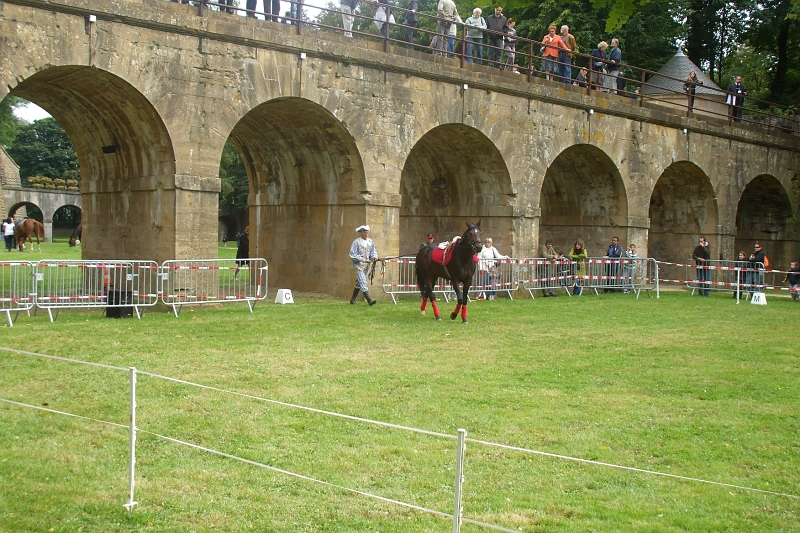 DSCF0533.JPG