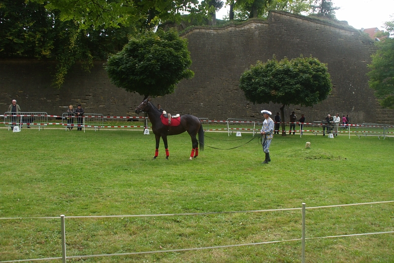 DSCF0534.JPG