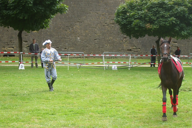 DSCF0535.JPG