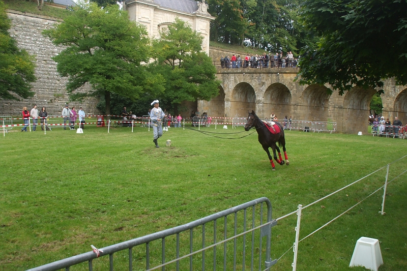 DSCF0537.JPG