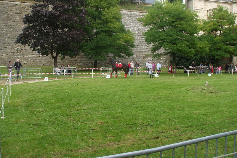 DSCF0538.JPG