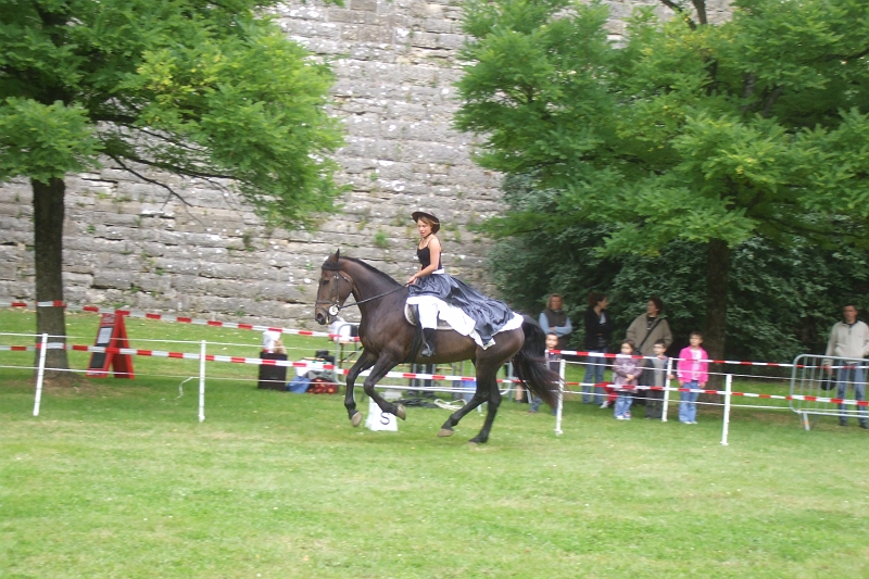 DSCF0553.JPG