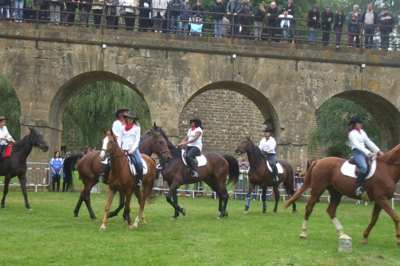 DSCF0598.JPG