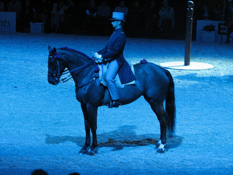 IMG_9621.jpg
