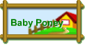 Baby Poney